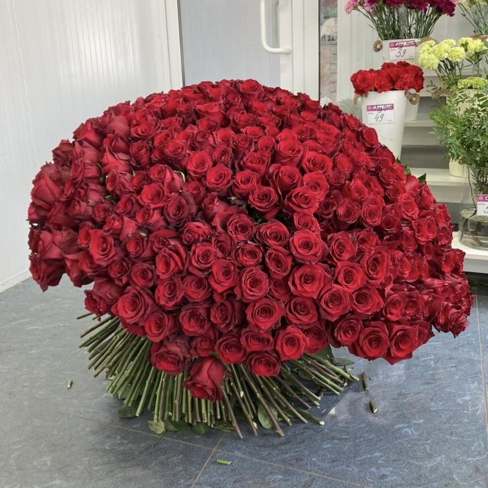 Букеты из красных роз 80 см (Эквадор) код товара  3636i