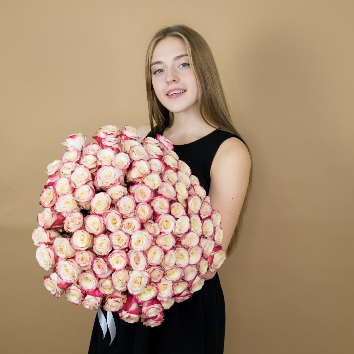 Розы красно-белые (40 см) Эквадор (код - 9iv)