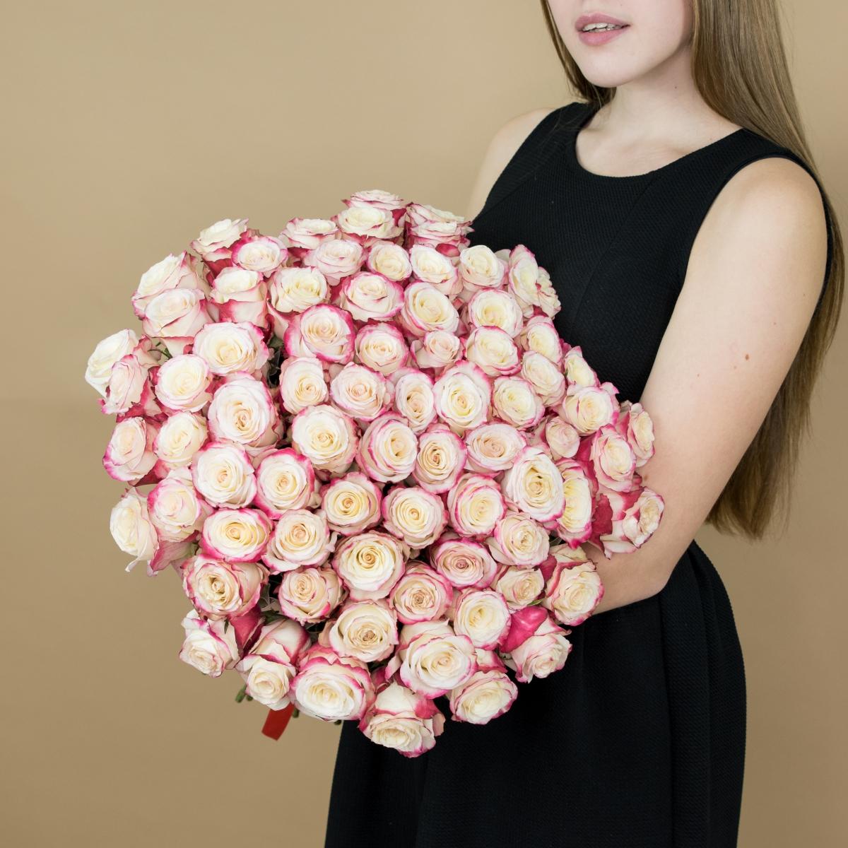 Розы красно-белые 101 шт. (40 см) артикул букета  1602iv