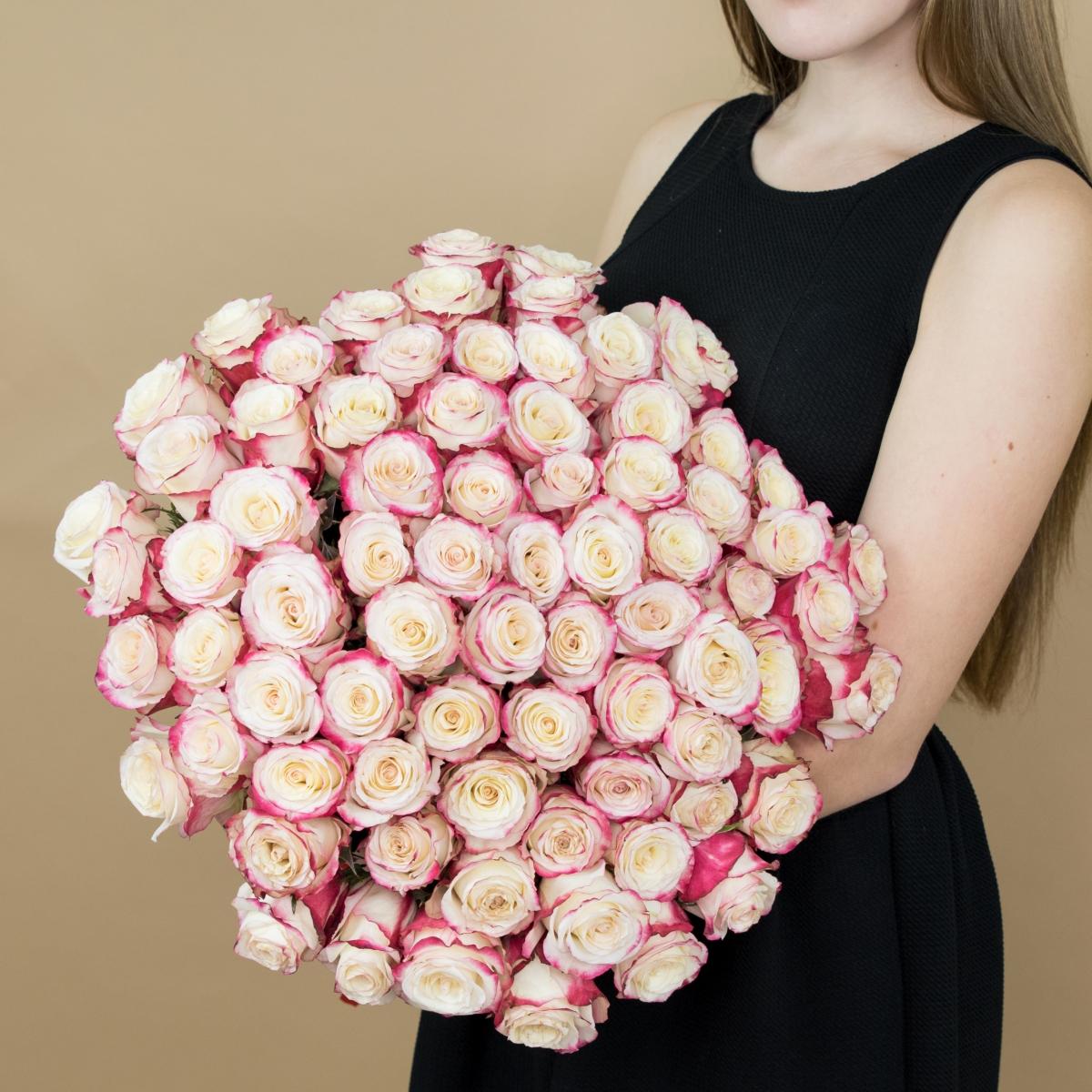 Розы красно-белые 101 шт. (40 см) артикул букета  1602iv