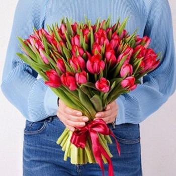 Тюльпаны красные 51 шт (артикул  2613ivano)